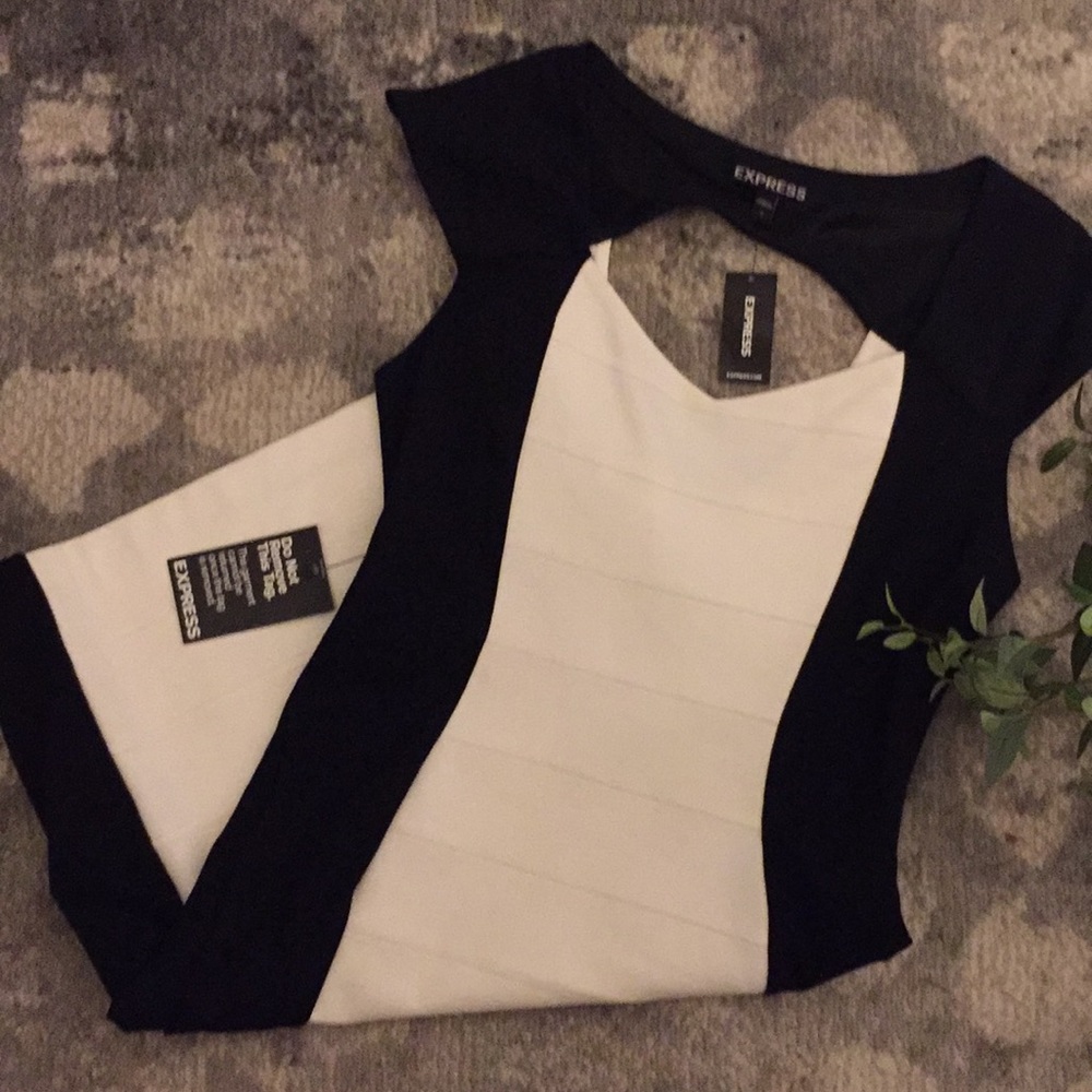 NWT Express Dress